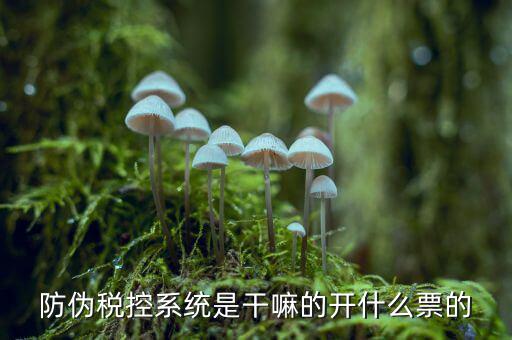 什么是稅控系統(tǒng)數(shù)據(jù)，金稅盤(pán)是什么
