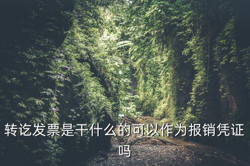 什么叫轉發(fā)票，我開了一張農(nóng)村合作信用社的轉賬發(fā)票請問什么是對應發(fā)票