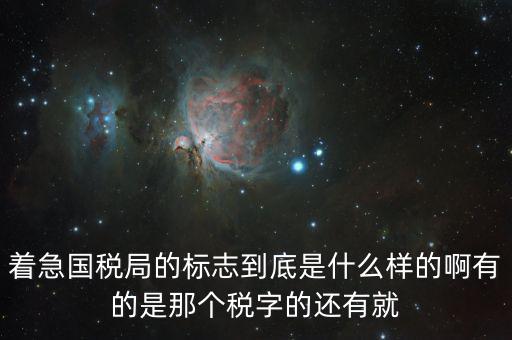 稅優(yōu)識別碼是什么樣的，納稅人辨認號和代碼是1樣的