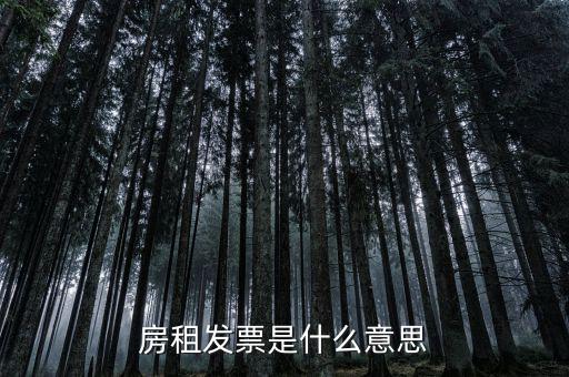 租賃協(xié)議和租金發(fā)票是什么意思，新辦企業(yè)地稅要租房協(xié)議開發(fā)票請問這是開什么發(fā)票啊