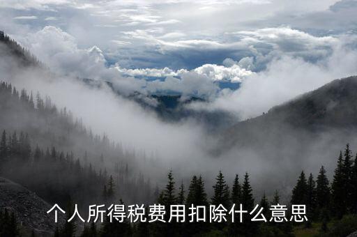 稅收扣除是什么，個(gè)人所得稅費(fèi)用扣除什么意思