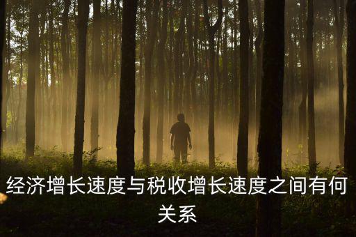 稅收增速是什么，經(jīng)濟(jì)增長(zhǎng)速度與稅收增長(zhǎng)速度之間有何關(guān)系