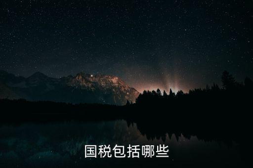 國稅綜合業(yè)務(wù)指什么，國稅包括哪些