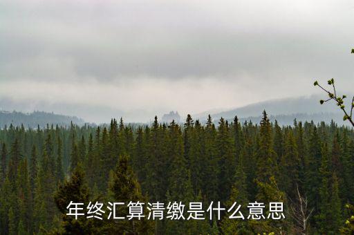 什么是企業(yè)匯算清繳，為什么年底要進行企業(yè)所得匯算清繳