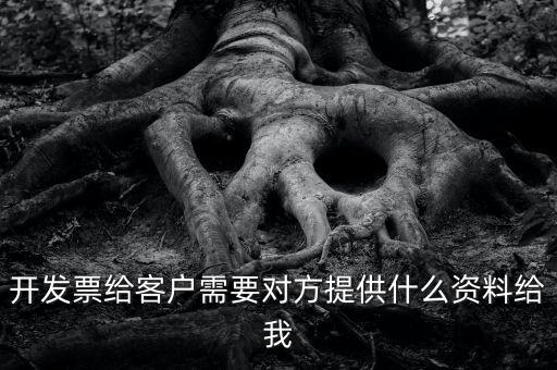 開票需要對方提供什么資料嗎，開發(fā)票給客戶需要對方提供什么資料給我