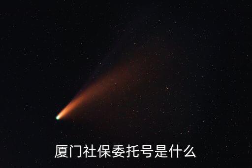 地稅社保委托號是什么，三證合一后去地稅局打社保單子說是與社保局的納稅人識別號不一