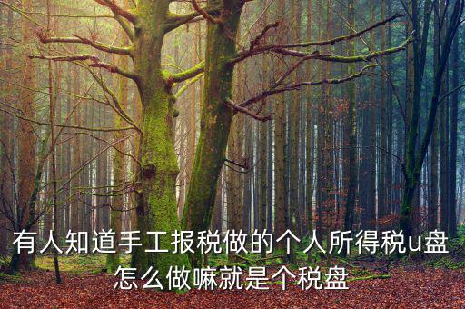 繳個稅用什么盤申報，個人所得稅報盤怎么弄