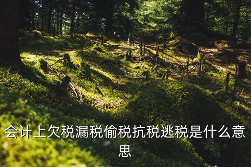 欠繳稅額是什么意思，增值稅申報表第26欄實收出口開具專用繳款書退稅額指的是什么