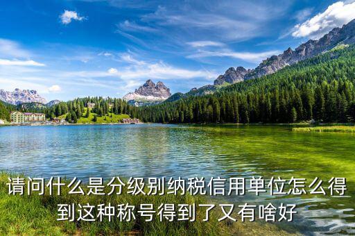 請(qǐng)問(wèn)什么是分級(jí)別納稅信用單位怎么得到這種稱(chēng)號(hào)得到了又有啥好