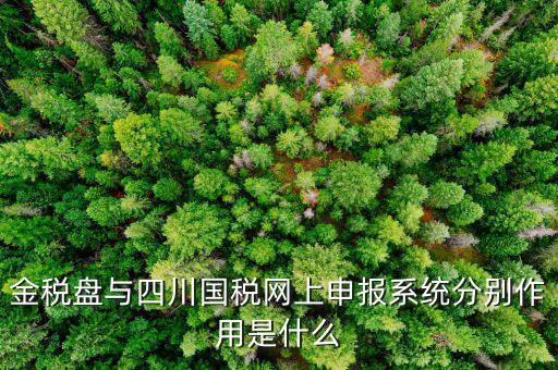 金稅盤的作用是什么，請(qǐng)問(wèn)現(xiàn)在國(guó)稅局換的金稅盤主要的作用是什么