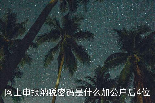 網(wǎng)上如何申報(bào)國(guó)稅密碼是什么，國(guó)稅第一次網(wǎng)上申報(bào)的登陸密碼是什么