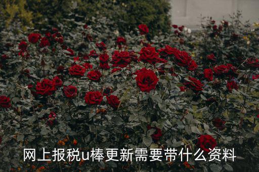 稅務(wù)u棒長什么樣，網(wǎng)上報(bào)稅u棒更新需要帶什么資料