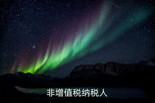 什么叫非一般納稅人，不是一般納稅人可以開專票嗎