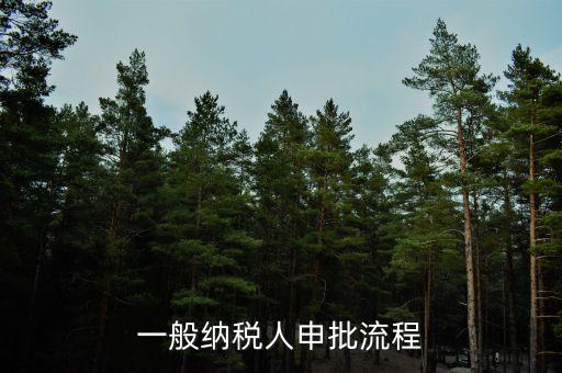 申稅需要什么手續(xù)，個體工商戶稅收 要辦理什么手續(xù)