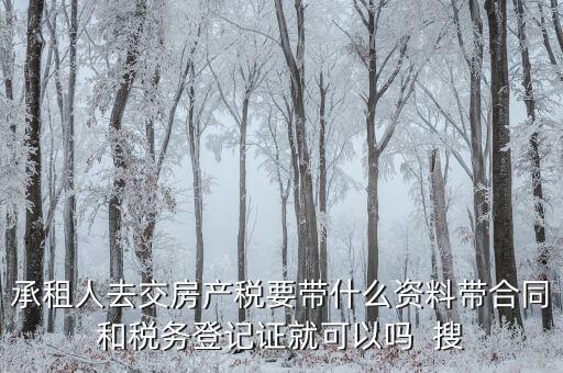 承租人去交房產(chǎn)稅要帶什么資料帶合同和稅務登記證就可以嗎  搜