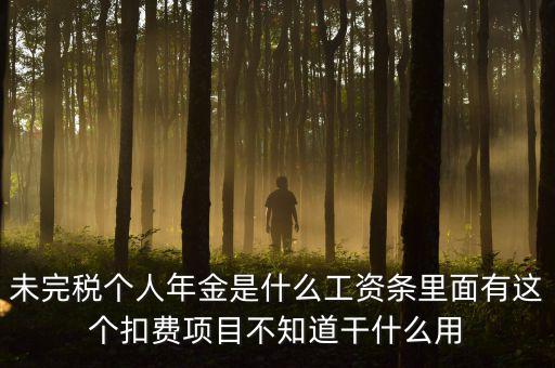 個稅年金是什么，未完稅個人年金是什么工資條里面有這個扣費項目不知道干什么用