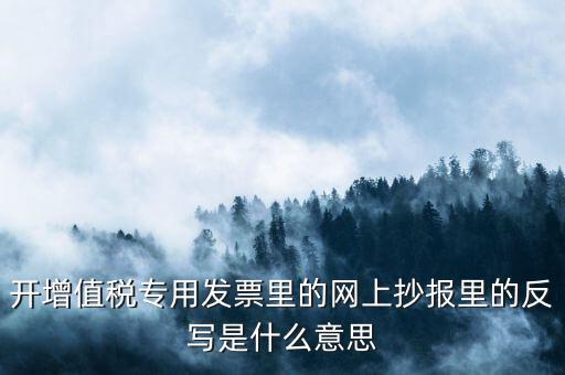 開(kāi)票系統(tǒng)反寫(xiě)是什么意思，開(kāi)增值稅專(zhuān)用發(fā)票里的網(wǎng)上抄報(bào)里的反寫(xiě)是什么意思