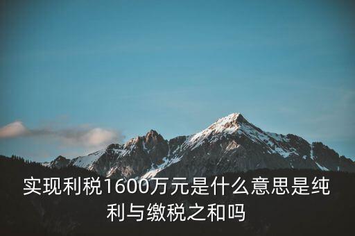 實(shí)時(shí)繳稅是什么意思，實(shí)時(shí)扣稅務(wù)請求3001什么意思