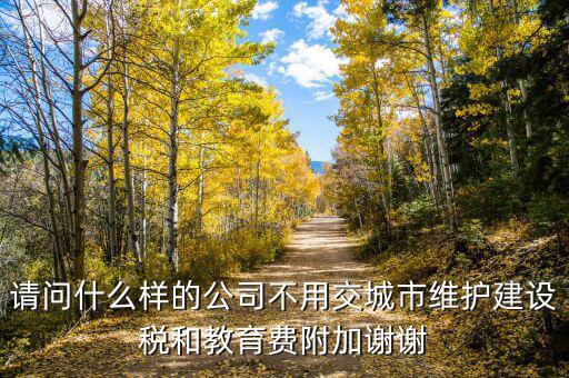 什么情況不交城建稅，什么時(shí)候不需要交納營(yíng)業(yè)稅城建稅及附加