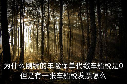 為什么剛續(xù)的車(chē)險(xiǎn)保單代繳車(chē)船稅是0但是有一張車(chē)船稅發(fā)票怎么