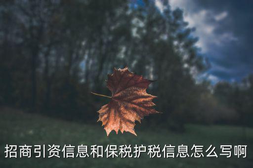 護(hù)稅是什么意思，  是什么意思