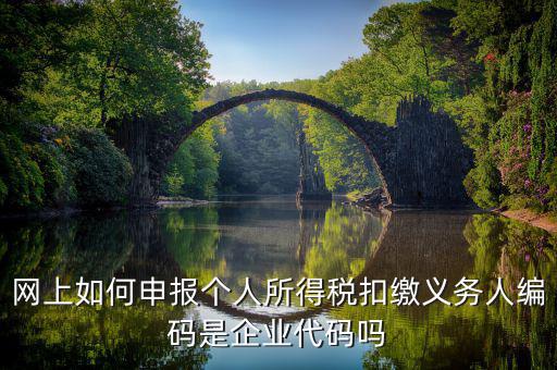 江西省個稅代扣系統(tǒng)的編碼是什么，網(wǎng)上如何申報個人所得稅扣繳義務(wù)人編碼是企業(yè)代碼嗎