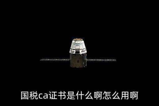國稅的ca證書是什么意思，CA證書是什么東西包括pfx cert么