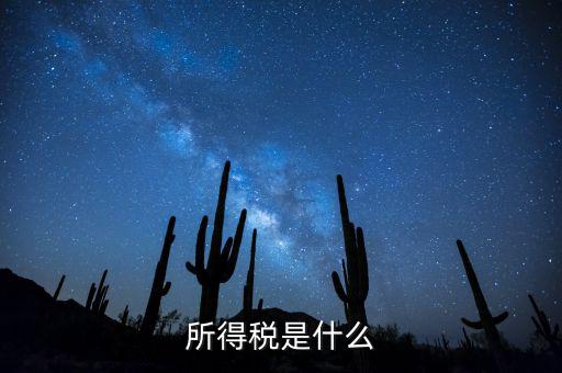 什么是額外所得稅，所得稅是什么