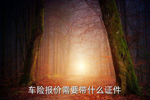 車輛保險專票需要什么，車險報價需要帶什么證件
