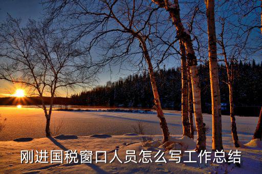 剛進國稅窗口人員怎么寫工作總結