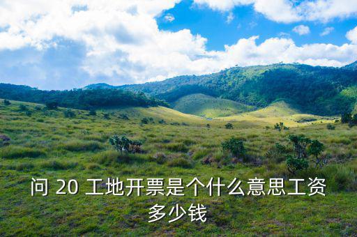 開票界面是指什么意思，會計(jì)的開票是什么意思
