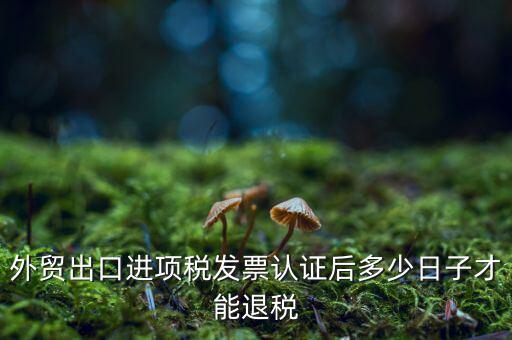 什么時候可以退稅，退稅是按進項發(fā)票認證的時間來退稅的