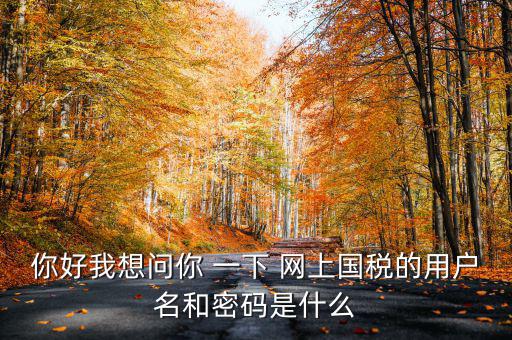 國稅登陸名和密碼是什么意思，國稅第一次網(wǎng)上申報的登陸密碼是什么