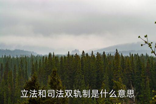 雙軌運(yùn)行什么意思，雙軌運(yùn)行解數(shù)字