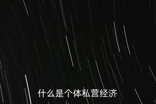 什么是個體私營經濟