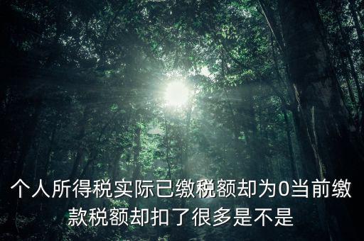 實(shí)繳稅額為什么是0，當(dāng)期的實(shí)交增值稅額為0是否進(jìn)行城建稅的申報(bào)什么意思可以不用申報(bào)
