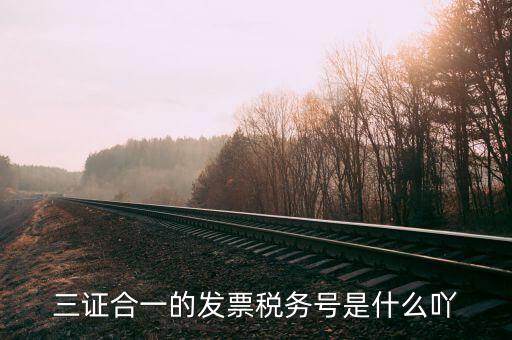 三證合一的發(fā)票稅務號是什么吖