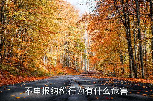 0申報稅沒有報會有什么影響，不申報納稅行為有什么危害
