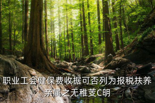 職業(yè)工會健保費收據可否列為報稅扶養(yǎng)親屬之無稚芰C明