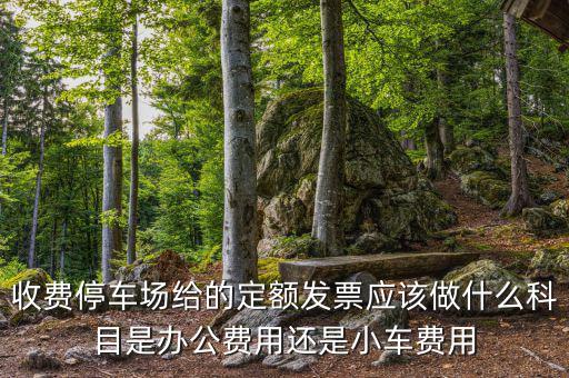 收費停車場給的定額發(fā)票應(yīng)該做什么科目是辦公費用還是小車費用