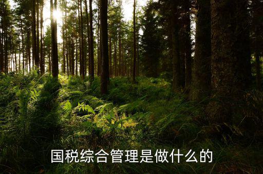 國(guó)稅綜合業(yè)務(wù)是什么，國(guó)稅綜合管理是做什么的