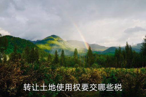 轉(zhuǎn)讓土地使用權(quán)要交什么稅，轉(zhuǎn)讓土地使用權(quán)要交哪些稅