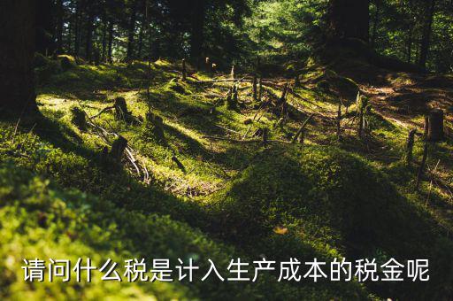 什么稅計入成本，請問什么稅是計入生產(chǎn)成本的稅金呢