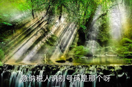 納稅人識(shí)別卡是什么，一般納稅人的IC卡的型號(hào)中JK100和JK300有什么區(qū)別