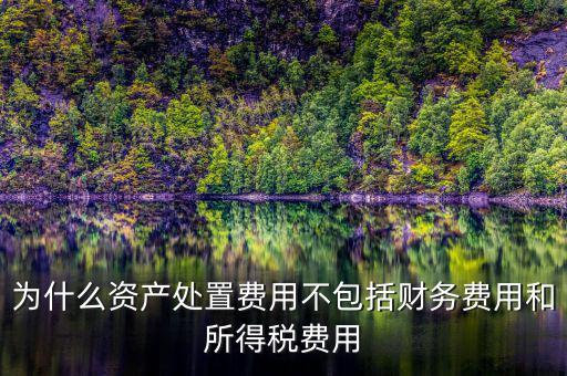 籌資費(fèi)用為什么不考慮所得稅，為什么資產(chǎn)處置費(fèi)用不包括財(cái)務(wù)費(fèi)用和所得稅費(fèi)用
