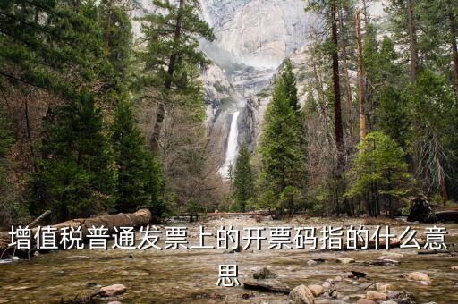 增值票的開票碼是什么意思，增值稅普通發(fā)票上的開票碼指的什么意思