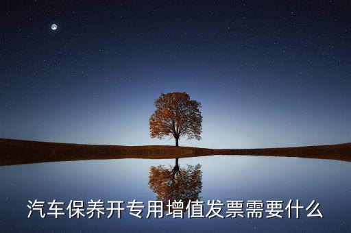 保險開專票需要什么，開增值票項目只開總一項行嗎保險公司要求開專票說要么按實際