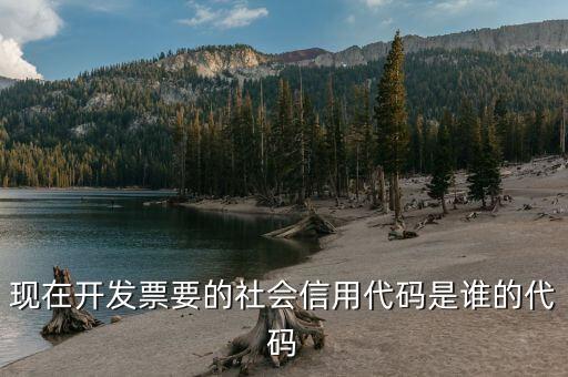 發(fā)票上有社會(huì)信用代碼是什么，現(xiàn)在開(kāi)發(fā)票要的社會(huì)信用代碼是誰(shuí)的代碼