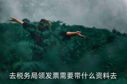領(lǐng)電子發(fā)票需要帶什么資料，去稅務(wù)局領(lǐng)發(fā)票需要帶什么資料去