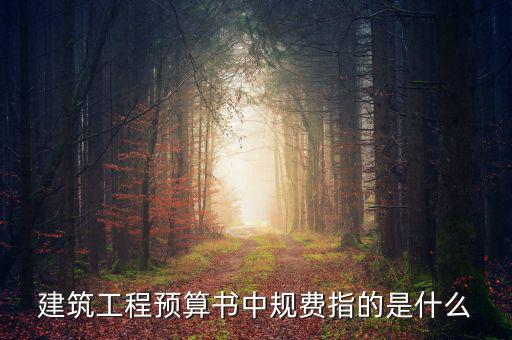 建筑工程預(yù)算書(shū)中規(guī)費(fèi)指的是什么